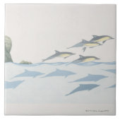 マイルカ タイル (正面)