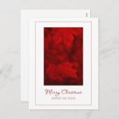 マイルスのはがきに向かうメリークリスマス シーズンポストカード (正面/裏面)