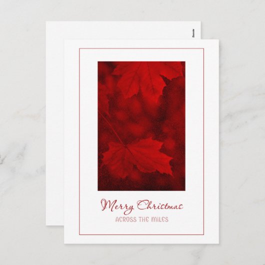 マイルスのはがきに向かうメリークリスマス シーズンポストカード (正面/裏面)