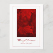 マイルスのはがきに向かうメリークリスマス シーズンポストカード (正面)