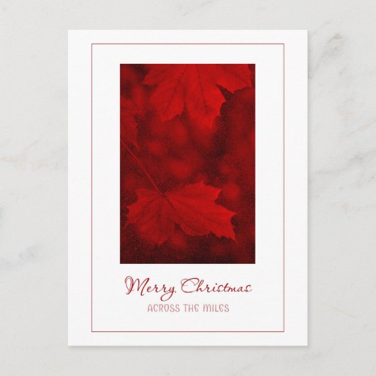 マイルスのはがきに向かうメリークリスマス シーズンポストカード (正面)