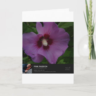 マイルズアパート カード