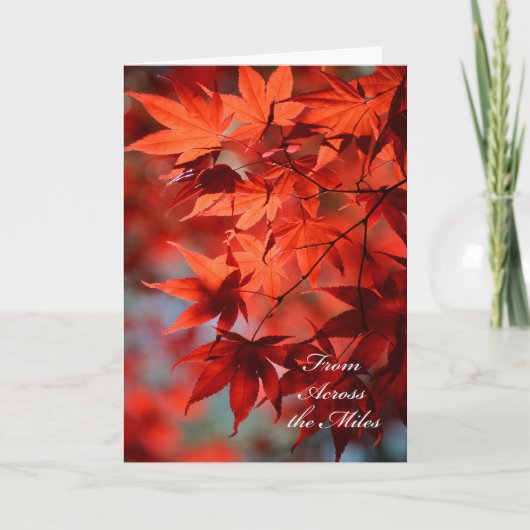 マイルズカードの向こうから感謝祭 シーズンカード (正面)