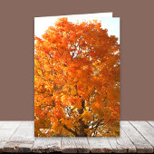 マイルズカードを越えた感謝祭 シーズンカード