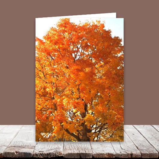 マイルズカードを越えた感謝祭 シーズンカード