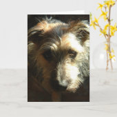 マイル カード (黄色い花)