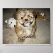 マイレス ポスター (正面)