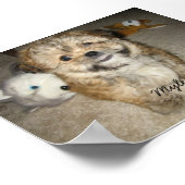 マイレス ポスター (角)