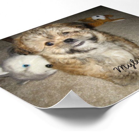 マイレス ポスター (角)