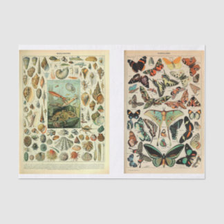 マイレットページ 薄葉紙