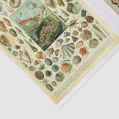 マイレットページ 薄葉紙 (詳細)