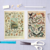 マイレットページ 薄葉紙 (クラフト)