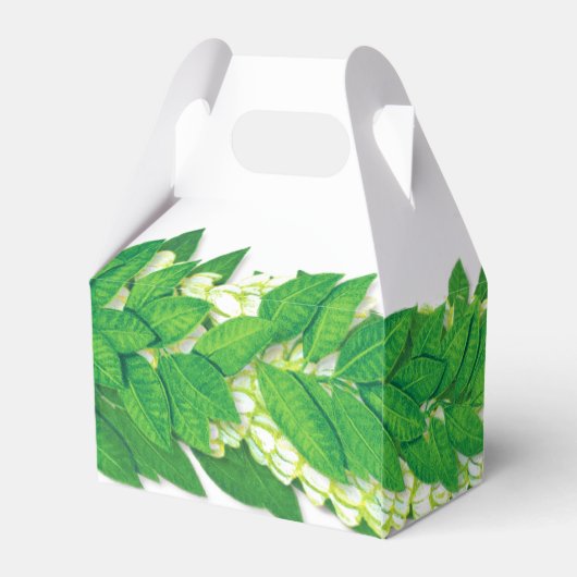 マイレレイパーティーフェイスボックス フェイバーボックス (裏面サイド)