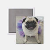 マイレン磁石 マグネット (正面/裏面)