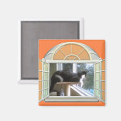 マイワールド マグネット (正面/裏面)