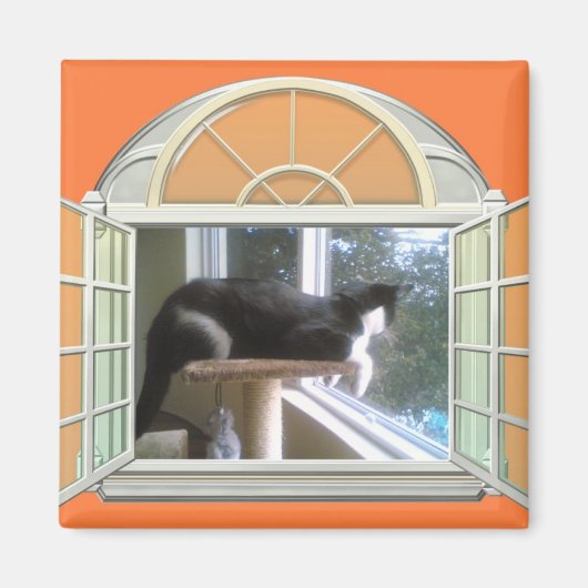 マイワールド マグネット (正面)