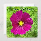 マインド エディション: コスモス セーブ・ザ・デート (正面/裏面)