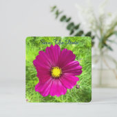 マインド エディション: コスモス セーブ・ザ・デート (スタンド正面)