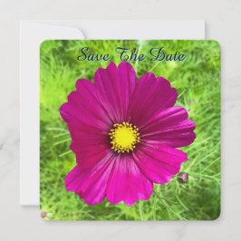 マインド エディション: コスモス セーブ・ザ・デート