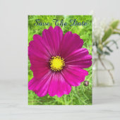 マインド エディション: コスモス セーブ・ザ・デート 招待状 (スタンド正面)