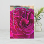 マインド エディション: 保存の日をお知らせ セーブザデート (スタンド正面)