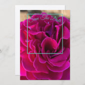 マインド エディション: 保存の日をお知らせ セーブザデート (正面/裏面)