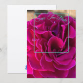 マインド エディション: 保存の日 セーブザデート (正面/裏面)