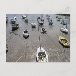 マインヘッド港, サマセット, イギリス ポストカード