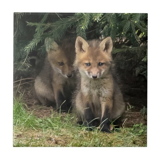 マイ兄弟姉妹 タイル (正面)