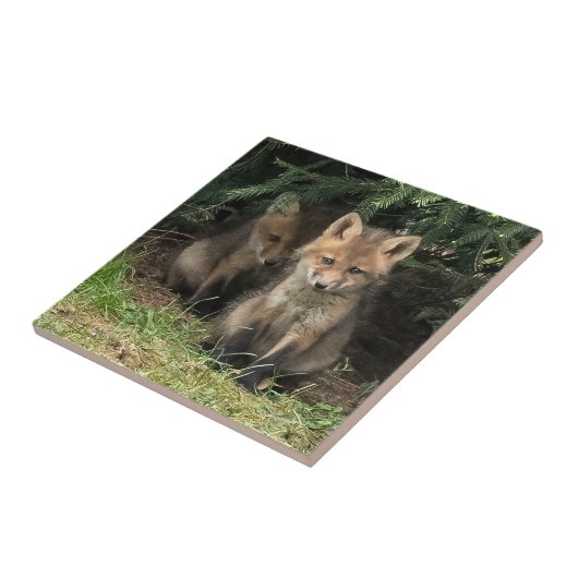 マイ兄弟姉妹 タイル (側面)