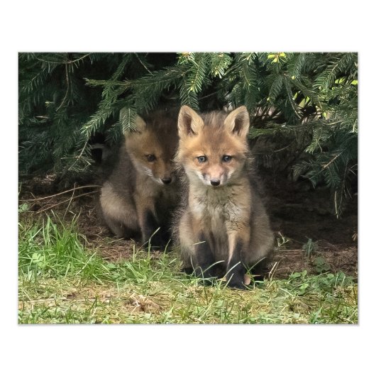 マイ兄弟姉妹 フォトプリント            (正面)