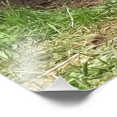 マイ兄弟姉妹 フォトプリント            (角)