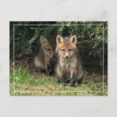 マイ兄弟姉妹 ポストカード (正面)