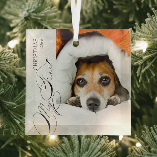 マイ初めてのクリスマススクリプト縦写真スノーフレーク ガラスオーナメント (インサイチュ)