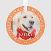 マイ初めてのクリスマスズフォーバーホモダンームペット写真 オーナメント (裏面)