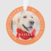 マイ初めてのクリスマスズフォーバーホモダンームペット写真 オーナメント (正面)