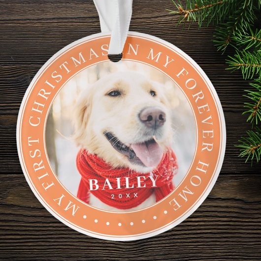マイ初めてのクリスマスズフォーバーホモダンームペット写真 オーナメント