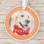 マイ初めてのクリスマスズフォーバーホモダンームペット写真 オーナメント