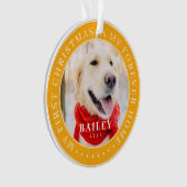 マイ初めてのクリスマスフォーエバーモダンホームペット オーナメント (正面)