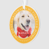 マイ初めてのクリスマスフォーエバーモダンホームペット オーナメント (正面)