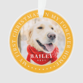 マイ初めてのクリスマスフォーエバーモダンホームペット オーナメント