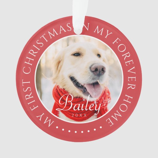 マイ初めてのクリスマスフォーエバーモダンホームペット オーナメント (正面)