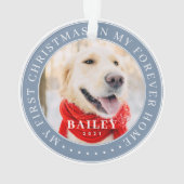 マイ初めてのクリスマスフォーエバーモダンホームペット オーナメント (裏面)