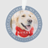 マイ初めてのクリスマスフォーエバーモダンホームペット オーナメント (正面)