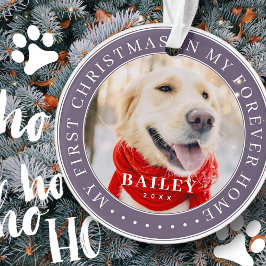 マイ初めてのクリスマスフォーエバーモダンホームペット オーナメント