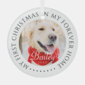 マイ初めてのクリスマスフォーエバーモダンホームペット ガラスオーナメント (正面)