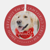 マイ初めてのクリスマスフォーエバーモダンホームペット ガラスオーナメント (裏面)