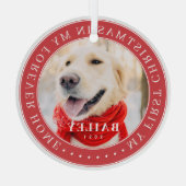 マイ初めてのクリスマスフォーエバーモダンホームペット ガラスオーナメント (裏面)