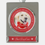 マイ初めてのクリスマスフォーエバーモダンホームペット シルバープレートバナーオーナメント (正面)