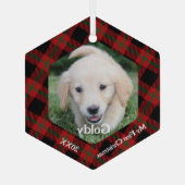 マイ初めてのクリスマスプレイドペットの写真 ガラスオーナメント (裏面)